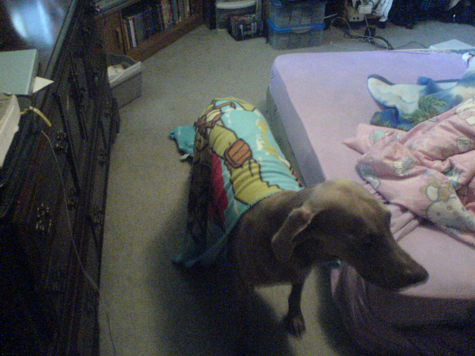 mydog.jpg